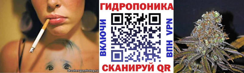 Каннабис Камбарка