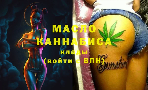 дмт Заводоуковск