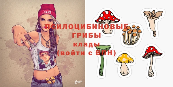 дмт Заводоуковск