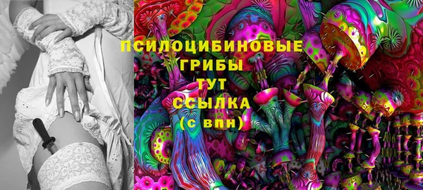2c-b Зеленокумск
