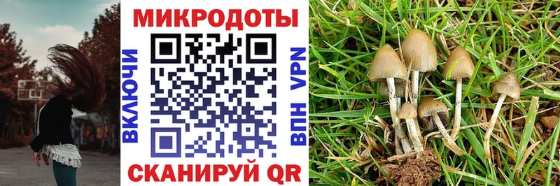 Купить закладки Камбарка Галлюциногенные грибы мухоморы