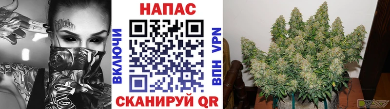 Шишки марихуана план  Купить закладки  Камбарка 